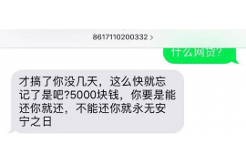 元氏专业讨债公司有哪些核心服务？